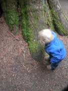 DSCN0078