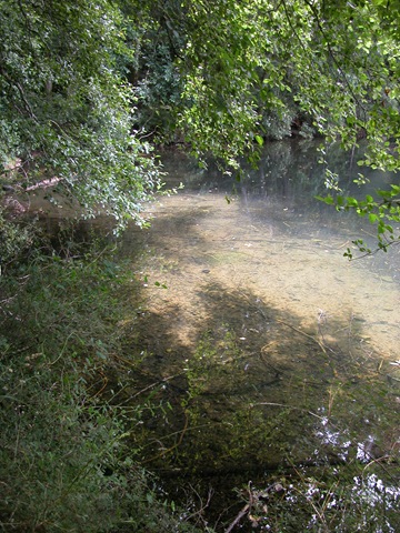 DSCN0108