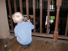 DSCN0196