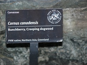 DSCN0040