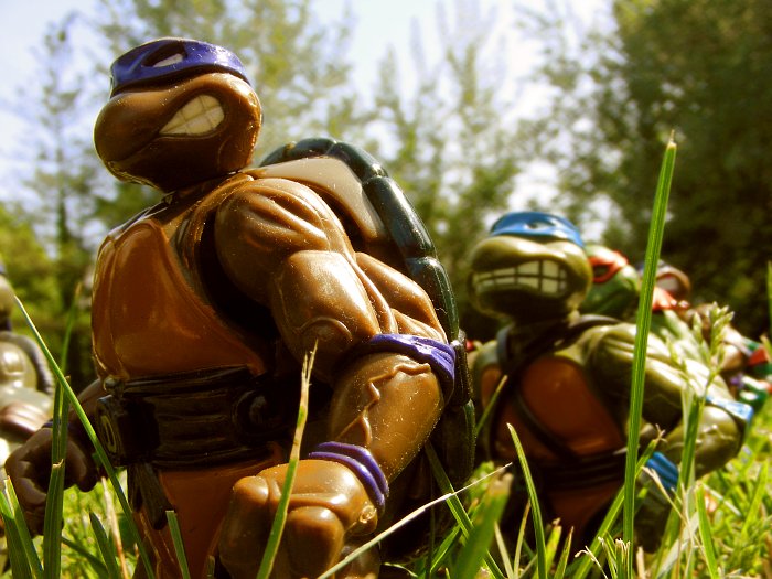 ninja turtles