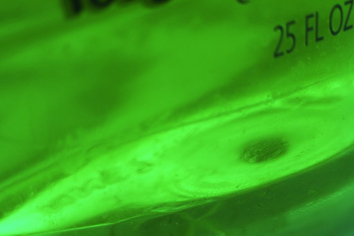 green dish soap photo