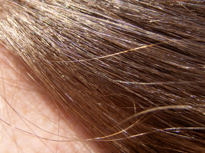 brown hair photo