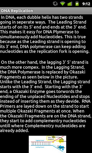 DNA Replication