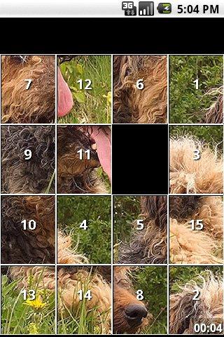 Terrier Puppy and Dog Puzzles