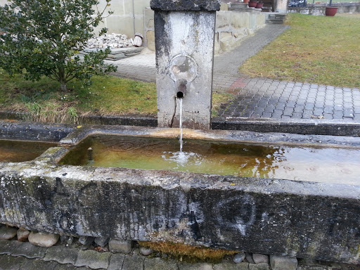 Niederwangens fontaine