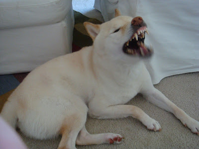 atari yawn
