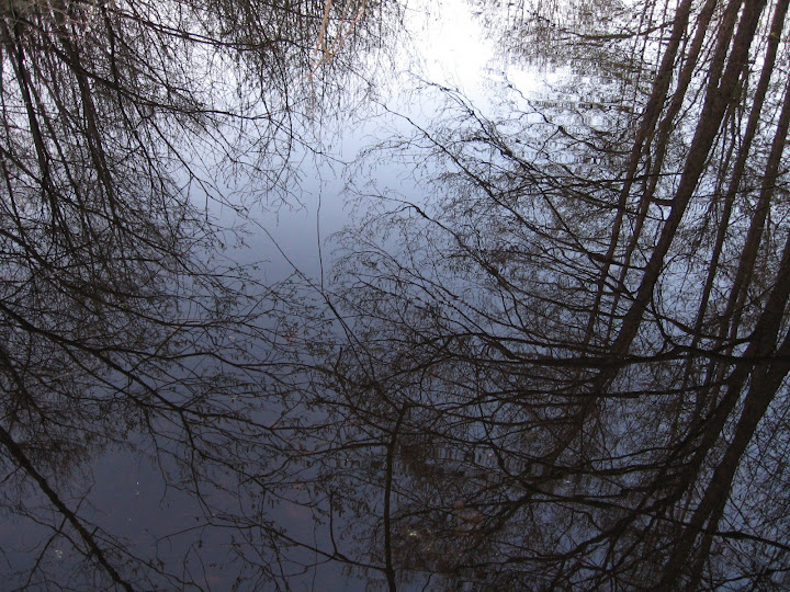 Die Spiegelung im See