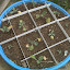 Mini2Go's Lower Pool garden