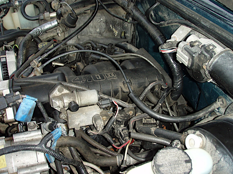 P4080008.JPG