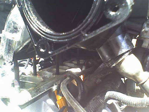 16508336.jpg