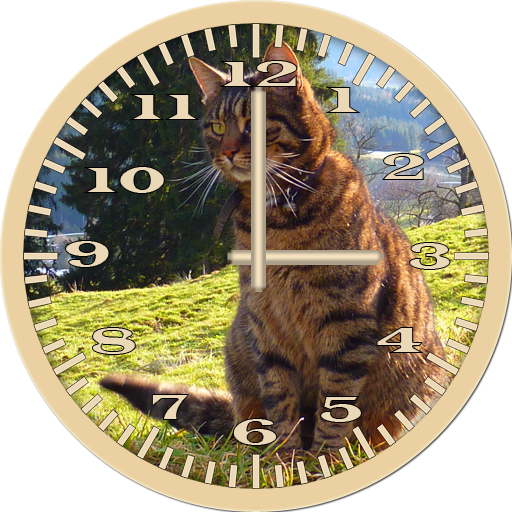 Cat 6 Tabby Analog Clock 個人化 App LOGO-APP開箱王
