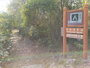Nam Fung Wan Camp Site 