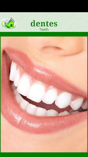 How to install Flashcards Portuguese Lesson lastet apk for pc