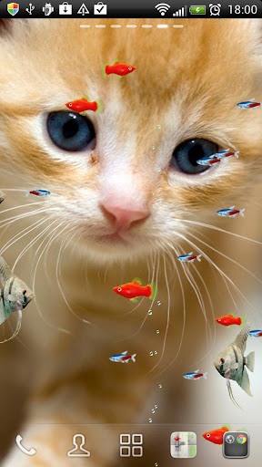 KITTY FISH LIVE WALLPAPER 11