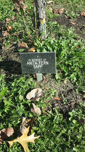 In Memory Of Anita Fern Sapp