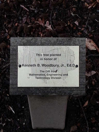Kenneth B Woodbury Jr Memorial