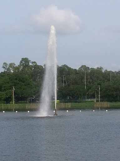 SDC Water Fountain in Pond