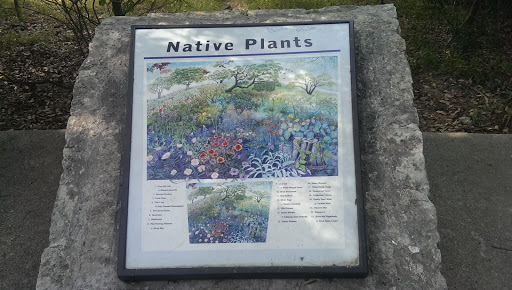 Walker Ranch - Native Plants