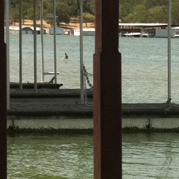 Spotting Image 1