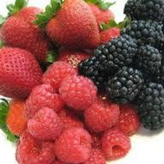 Macerated Summer Berries Sangria and Santeaia.