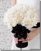 white carnations