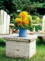 watering can