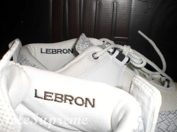 8220Snake Skin8221 Nike Zoom LeBron II Low Player Exclusive