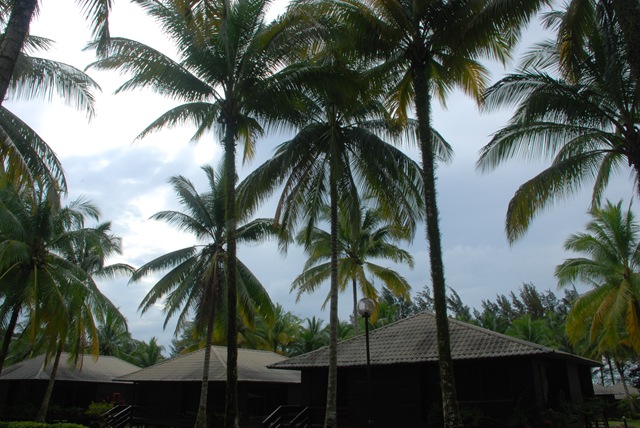 [DSC_00023.jpg]