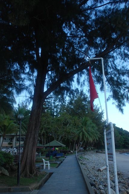 [DSC_00994.jpg]