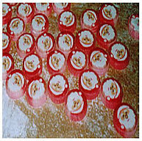 Japanese kumi ame (rolled candy)