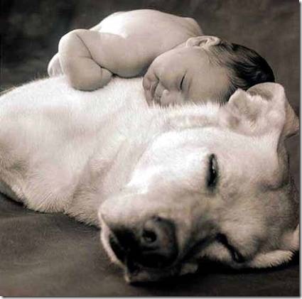 baby resting on dog