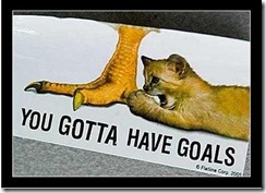 gotta have goals