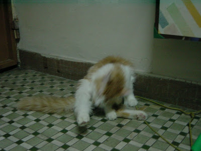DSC00021.JPG