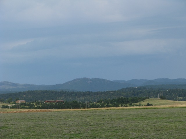 [IMG_14802.jpg]