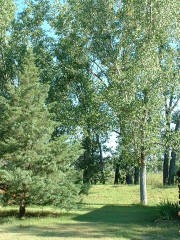 [SDBadlandsKC0043.jpg]