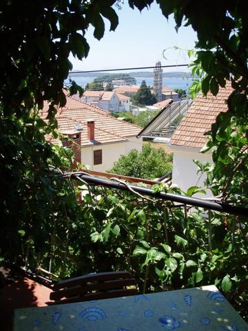 [Ljubica's flower jungle[2].jpg]