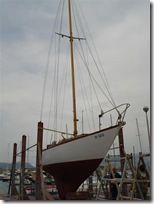 DSC02173 (Small)