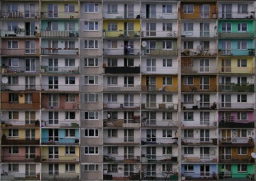 windows-5