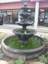 Fountains at the Shops