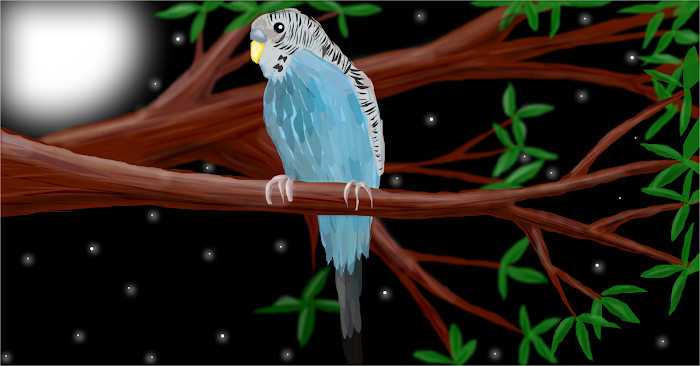 Budgie