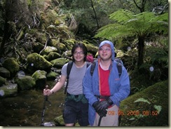 stream crossing