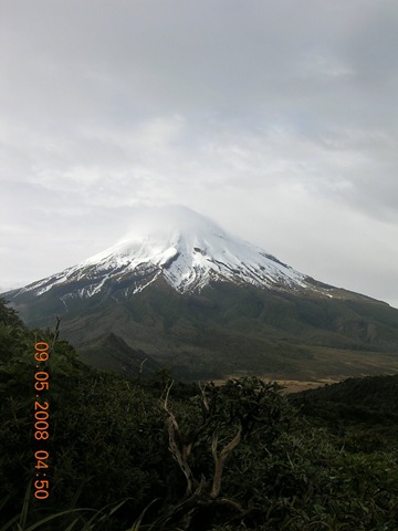 [DSCN2803[3].jpg]