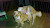 User profile picture thumbnail