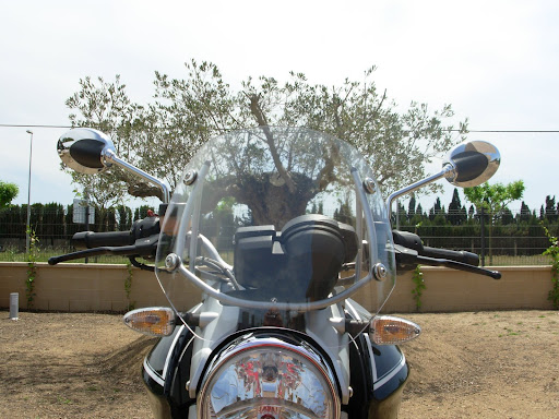 DSCN0020.JPG