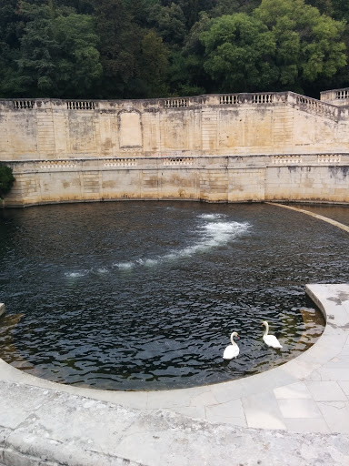 Bassin bouillonnant des Jardins de la Fontaine