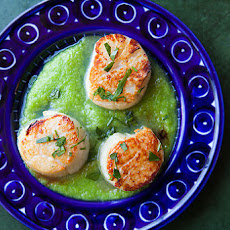 Sea Scallops with Asparagus Sauce