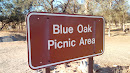 Blue Oak Picnic Area