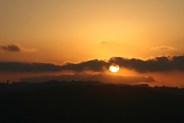 [IMG_66684.jpg]