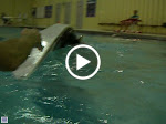 IMGP4266.MOV